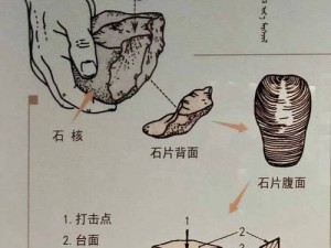 燧石手斧制作全流程：从选材到成型，一步步教你轻松打造实用工具