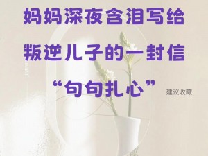 叛逆儿子暴躁老妈的救星——XX 产品