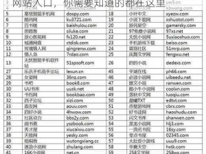 100款夜间禁用网站入口 100 款夜间禁用网站入口，你需要知道的都在这里