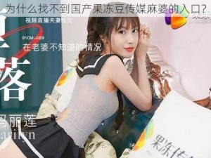 为什么找不到国产果冻豆传媒麻婆的入口？