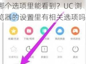 张津瑜视频在 UC 浏览器哪个选项里能看到？UC 浏览器的设置里有相关选项吗？