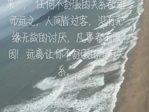 匆匆过客，心境释然：何必让过往之事耿耿于怀