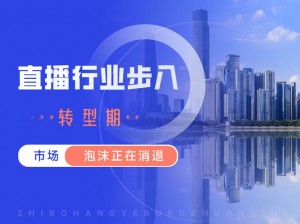 国产-va、国产 VA 这么厉害，你知道它有什么作用吗？