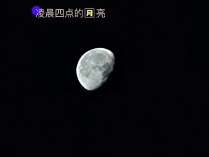 下方图黑色圈圈数量揭秘：深度探究黑色圈圈的精准数量