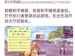 关于和平精英如何合法开挂并保持游戏公平性的探讨