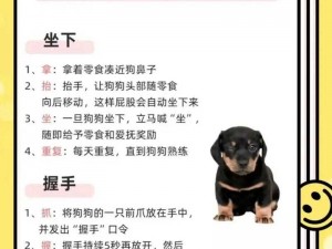 猛A元帅犬的全面化训练：从基础到精通的实战指导手册