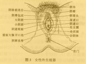 真实口述：女人被添荫蒂的奇妙体验