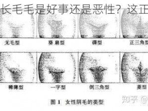 女性三角区长毛毛是好事还是恶性？这正常吗？该怎么办？