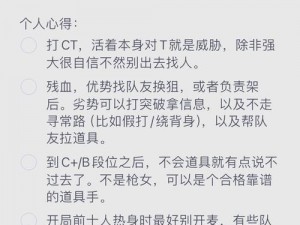 反恐精英游戏攻略：深度解析玩法与技巧精髓