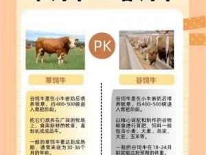 关于迷你世界牛的繁殖与营养需求——繁殖饲料全解析