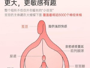 女人高潮喷汇编 hd：全新升级，让你体验前所未有的高潮快感