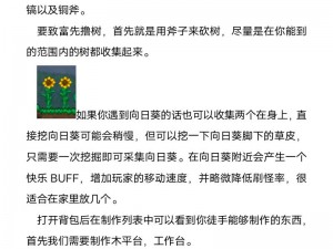 泰拉瑞亚游戏攻略：高频传送驱动电路教程：掌握核心技术，极速跨越虚拟世界