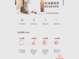 红猫大本猫永久人口 2023 更新，全新界面，操作更便捷