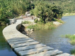 《瓦屋山水库发现神秘不明生物引发热议》