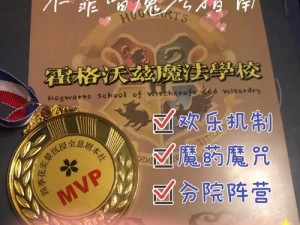 哈利波特：无期徒刑成就解锁攻略手册——全方位指南与秘籍揭秘