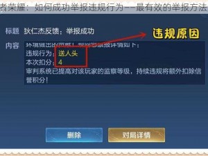 《王者荣耀：如何成功举报违规行为——最有效的举报方法解析》