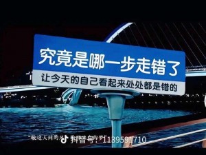 为什么在哔哩哔哩免费观看高清视频如此困难？如何解决？