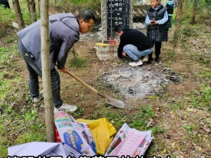 奇思妙想王伟忠回乡祭祖、如何看待王伟忠的奇思妙想：回乡祭祖？