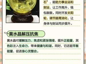 我的宫廷宝石的多重用途详解：璀璨宝藏的力量与价值解析