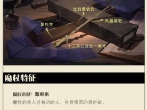 哈利波特魔法觉醒之凤凰深度解析：探寻神秘力量的无尽魅力