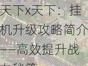 天下x天下：挂机升级攻略简介——高效提升战力秘籍