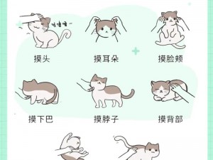 小猫咪大城市日常美容动作怎么获得 小猫咪大城市日常美容动作怎么获得？