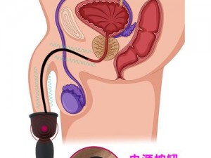 电动马眼棒必须拔出来才能喷水吗、电动马眼棒喷水必须要拔出来吗？