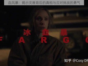 血风暴：揭示灾难背后的真相与应对挑战的勇气