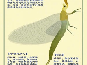 公的浮之9-公的浮之 9，这是什么神奇的生物？