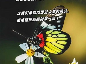 破蛹而出，新生的力量——时代的蜕变之旅