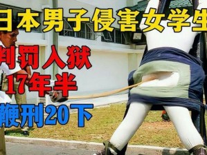 一道本日本视频无码【如何评价一道本日本视频无码？】