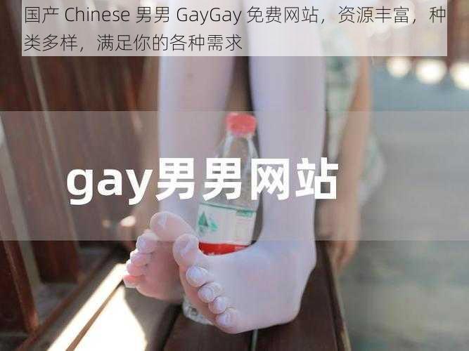 国产 Chinese 男男 GayGay 免费网站，资源丰富，种类多样，满足你的各种需求