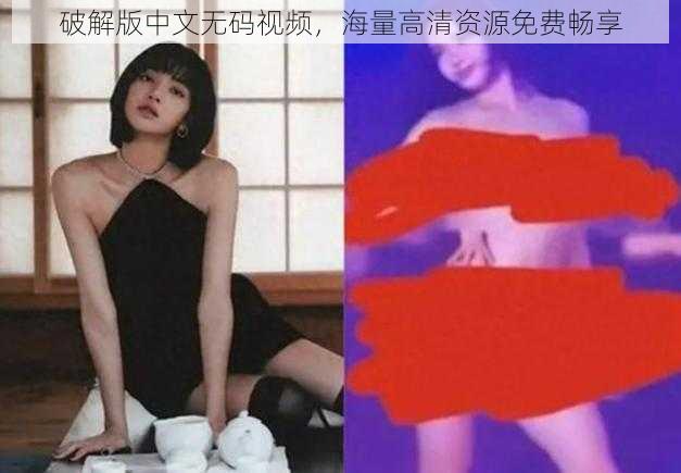 破解版中文无码视频，海量高清资源免费畅享