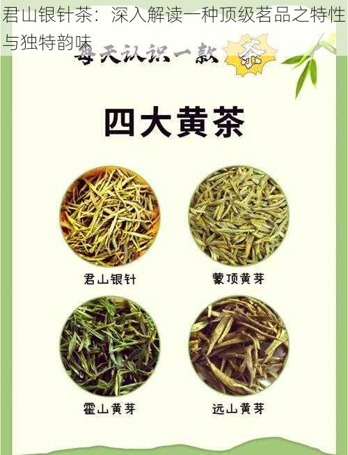 君山银针茶：深入解读一种顶级茗品之特性与独特韵味