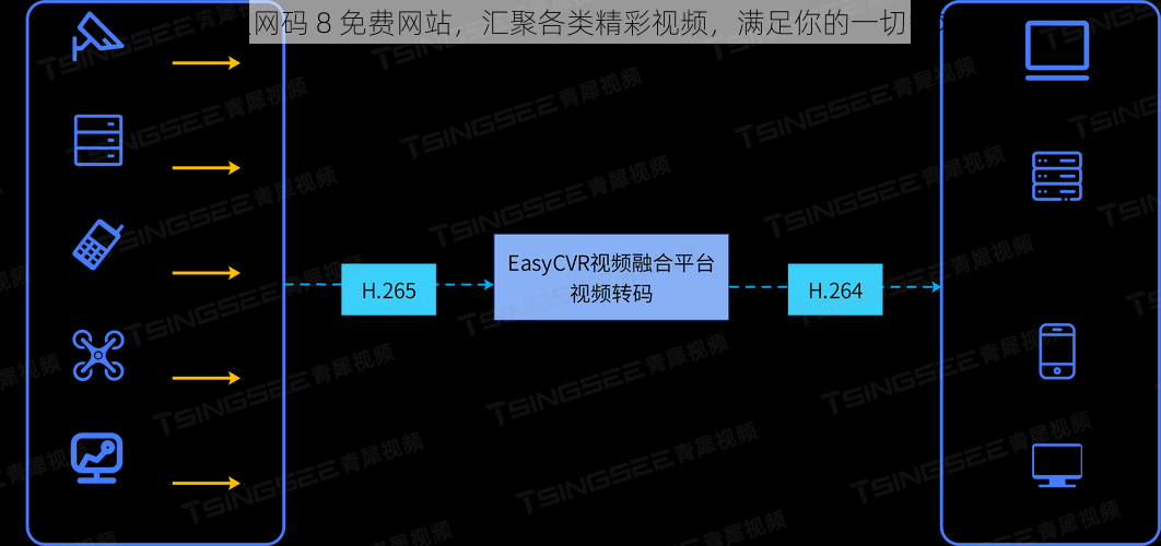 成人网码 8 免费网站，汇聚各类精彩视频，满足你的一切需求