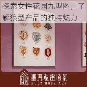 探索女性花园九型图，了解狼型产品的独特魅力