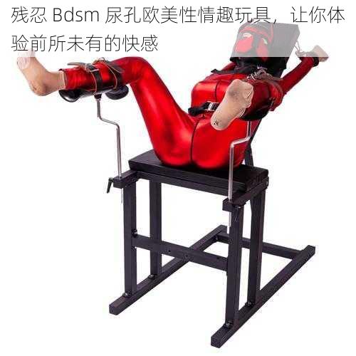 残忍 Bdsm 尿孔欧美性情趣玩具，让你体验前所未有的快感