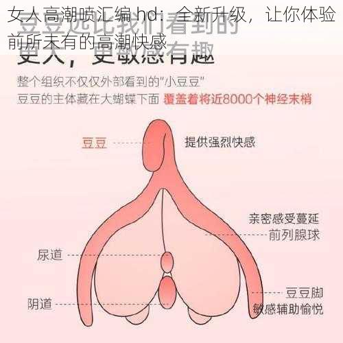 女人高潮喷汇编 hd：全新升级，让你体验前所未有的高潮快感