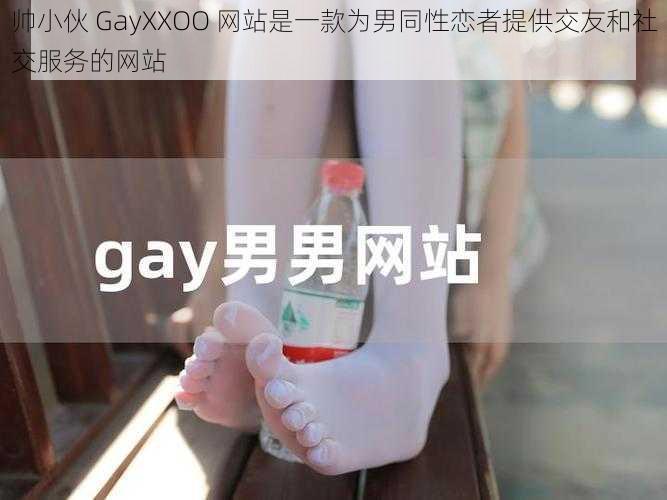 帅小伙 GayXXOO 网站是一款为男同性恋者提供交友和社交服务的网站