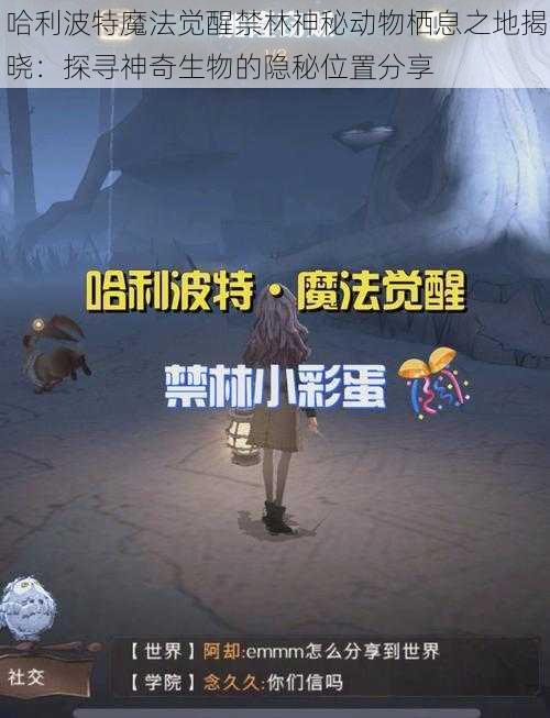 哈利波特魔法觉醒禁林神秘动物栖息之地揭晓：探寻神奇生物的隐秘位置分享