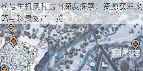 代号生机奥利雪山深度探索：资源获取攻略与珍贵物产一览