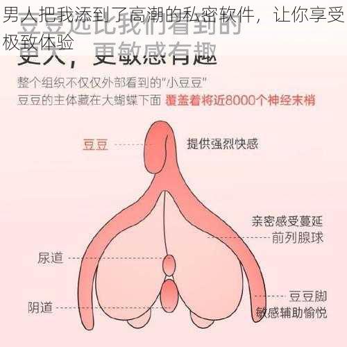 男人把我添到了高潮的私密软件，让你享受极致体验