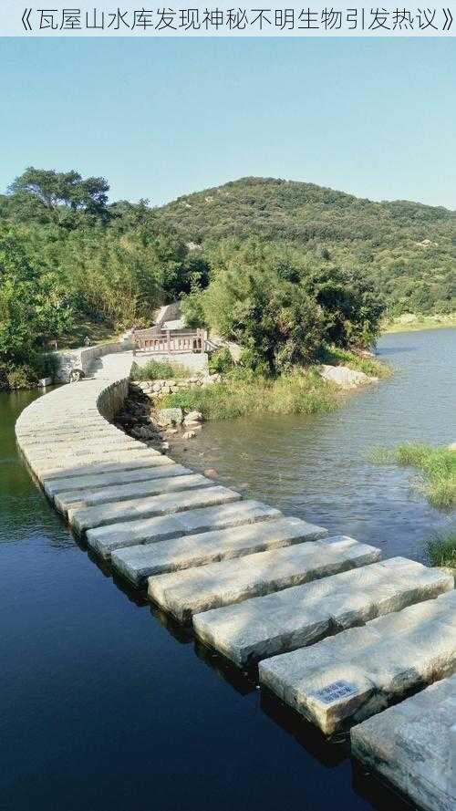 《瓦屋山水库发现神秘不明生物引发热议》