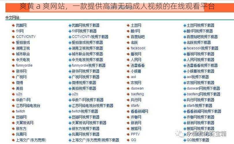 爽黄 a 爽网站，一款提供高清无码成人视频的在线观看平台