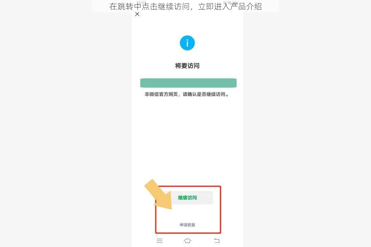 在跳转中点击继续访问，立即进入产品介绍