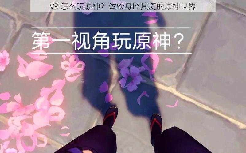 VR 怎么玩原神？体验身临其境的原神世界