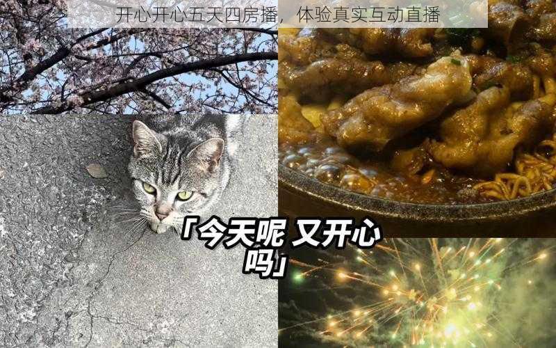 开心开心五天四房播，体验真实互动直播