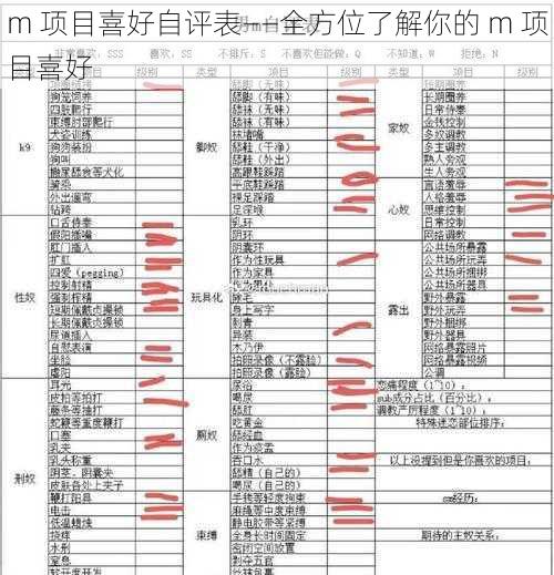 m 项目喜好自评表——全方位了解你的 m 项目喜好