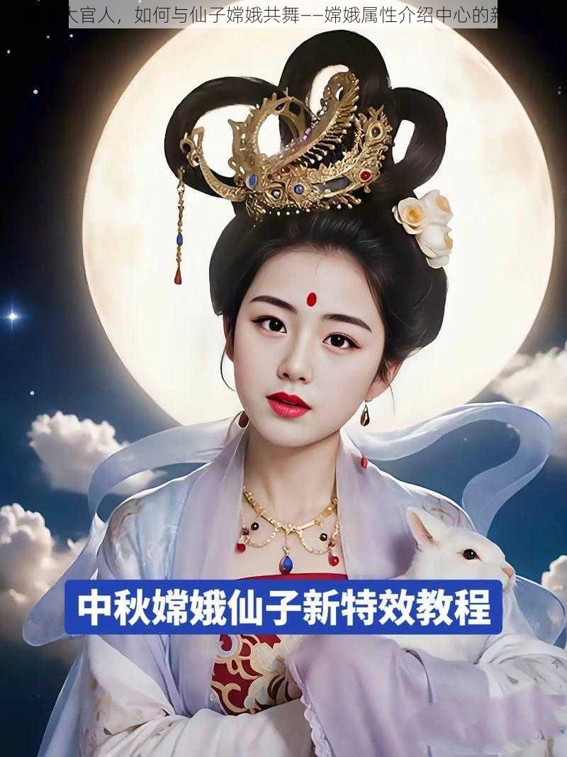 我是大官人，如何与仙子嫦娥共舞——嫦娥属性介绍中心的新篇章