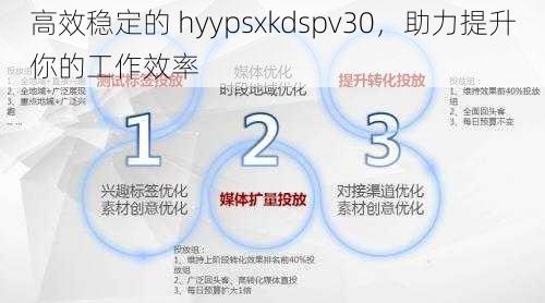 高效稳定的 hyypsxkdspv30，助力提升你的工作效率